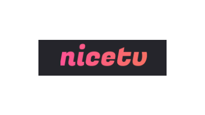 나이스티비